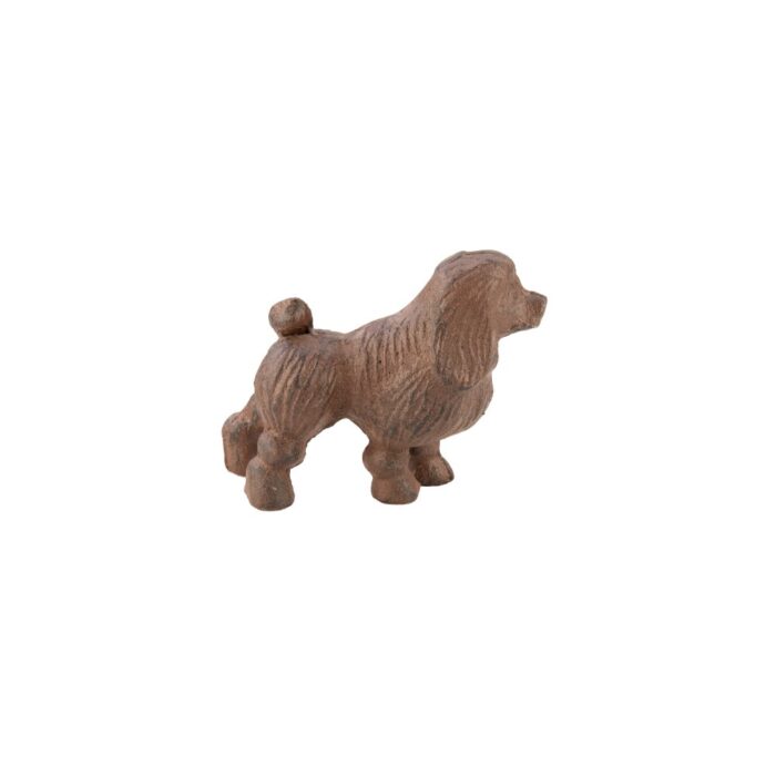 MINI POODLE - Image 2