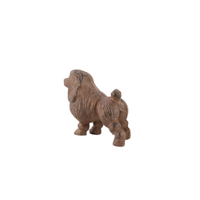 MINI POODLE - Image 3