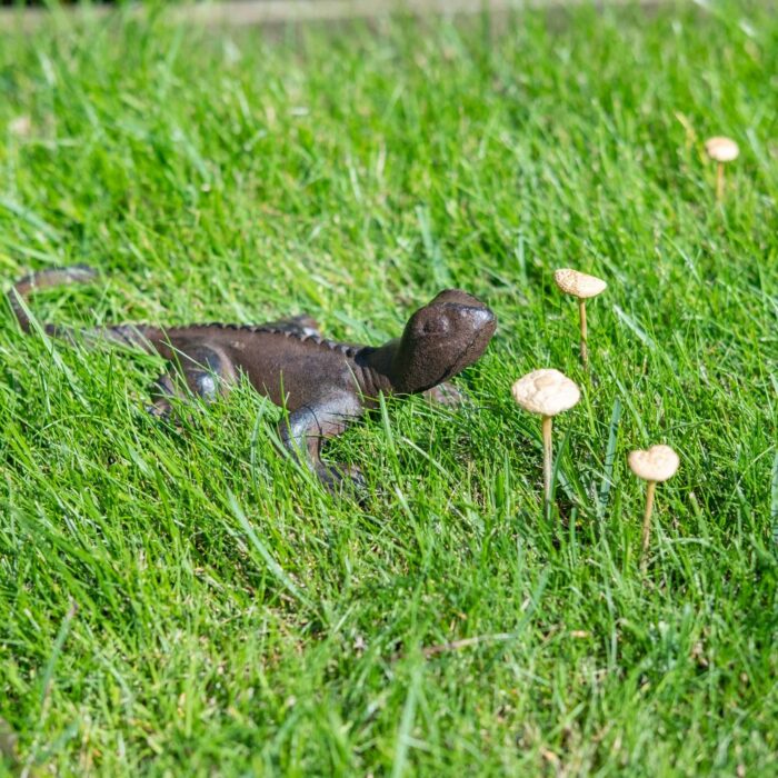 GECKO (20cm) - Image 2