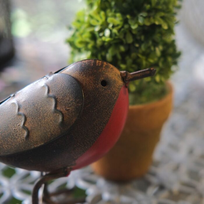 TIN ROBIN - Image 3
