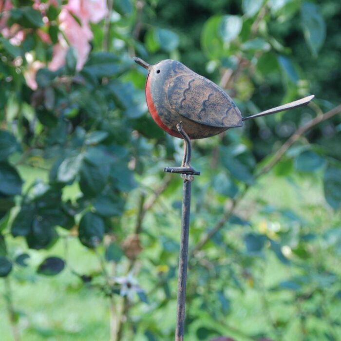 ROBIN on STICK - Image 2