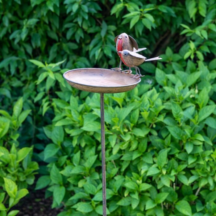 BIRDTABLE - PAIR ROBINS - Image 2