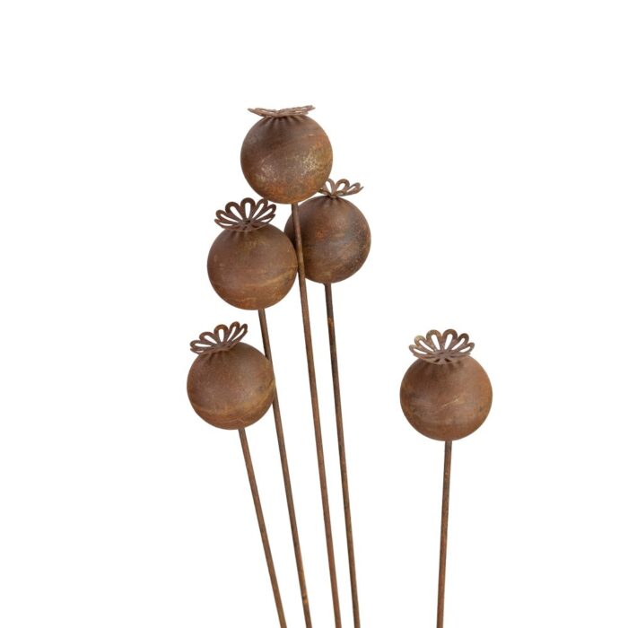 POPPY HEAD x5 - Image 2