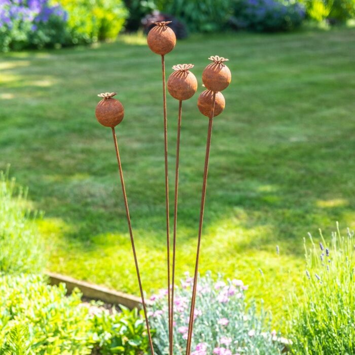 POPPY HEAD x5 - Image 3