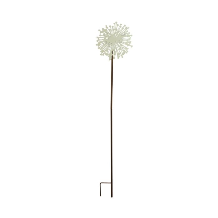 ALLIUM SILHOUETTE CREAM