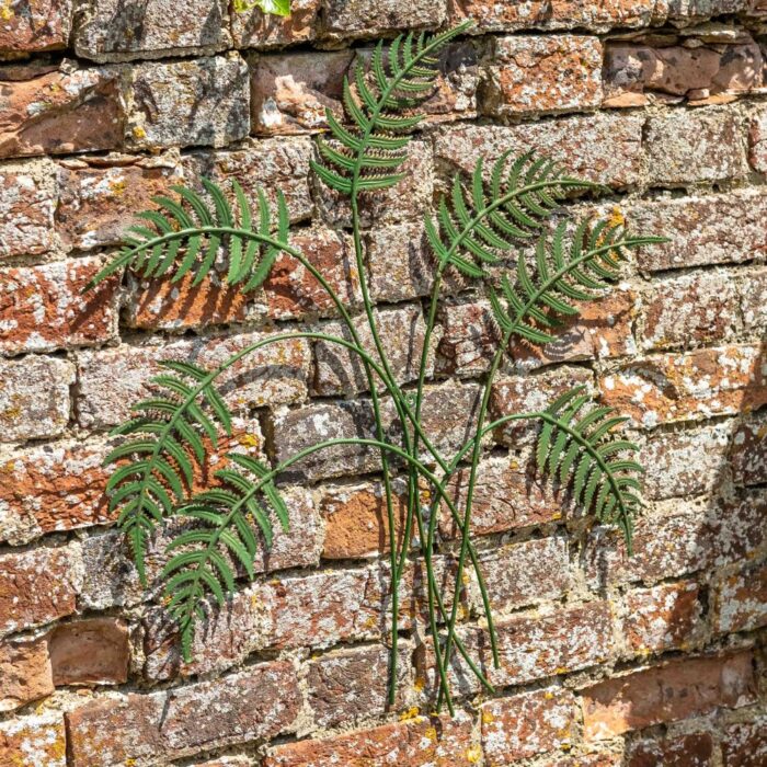 FERN WALLART (L) - Image 2