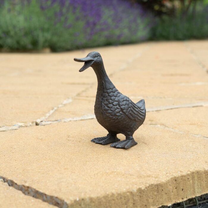QUACKING DUCK (M) - Image 4