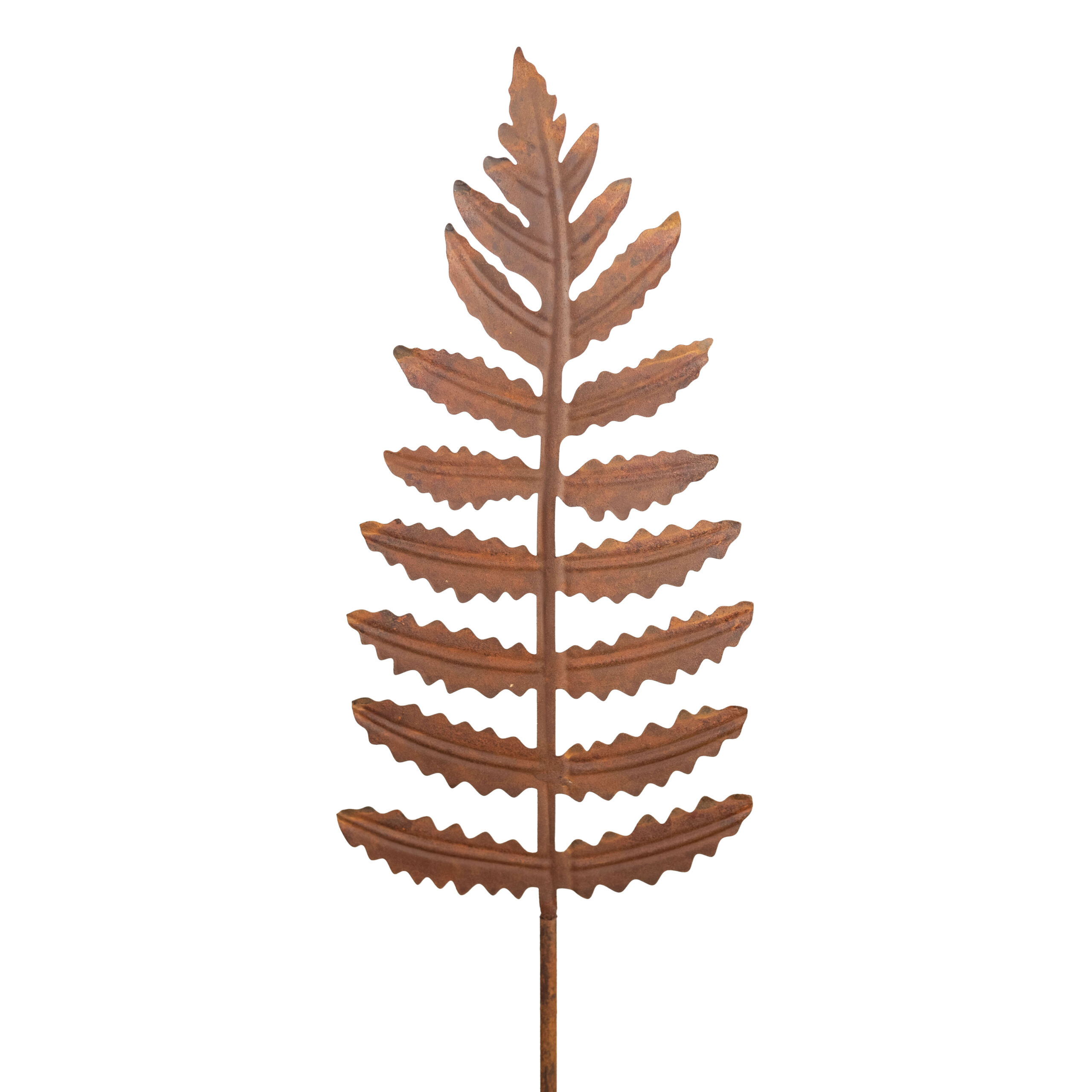 FERN STAKE (110cm) - Image 2
