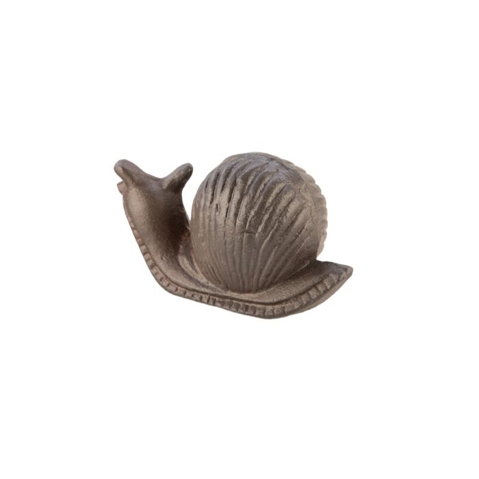 SNAIL - Image 2