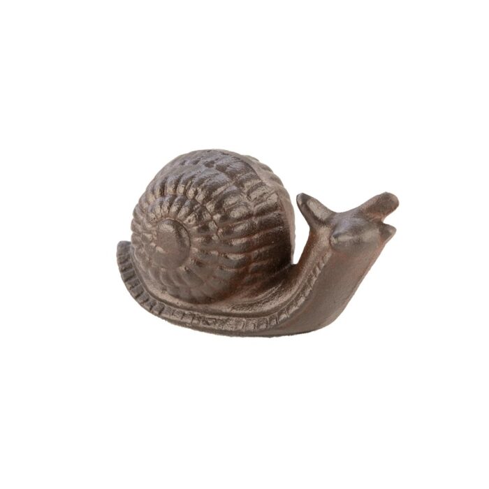 SNAIL