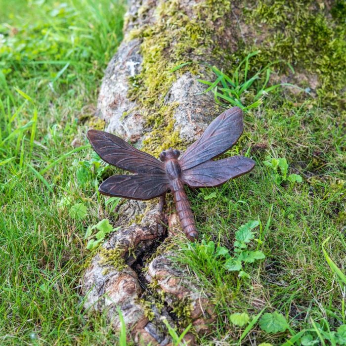 DRAGONFLY - Image 2