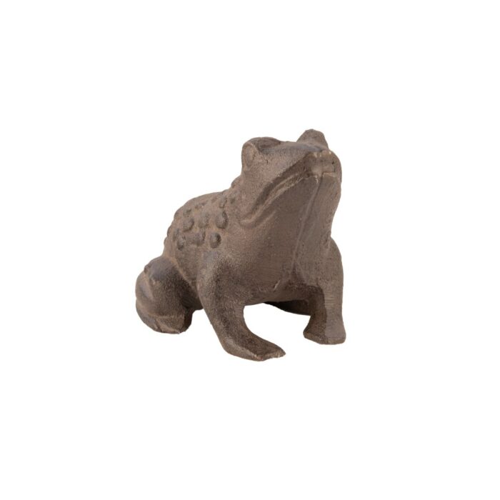 FROG - Image 2