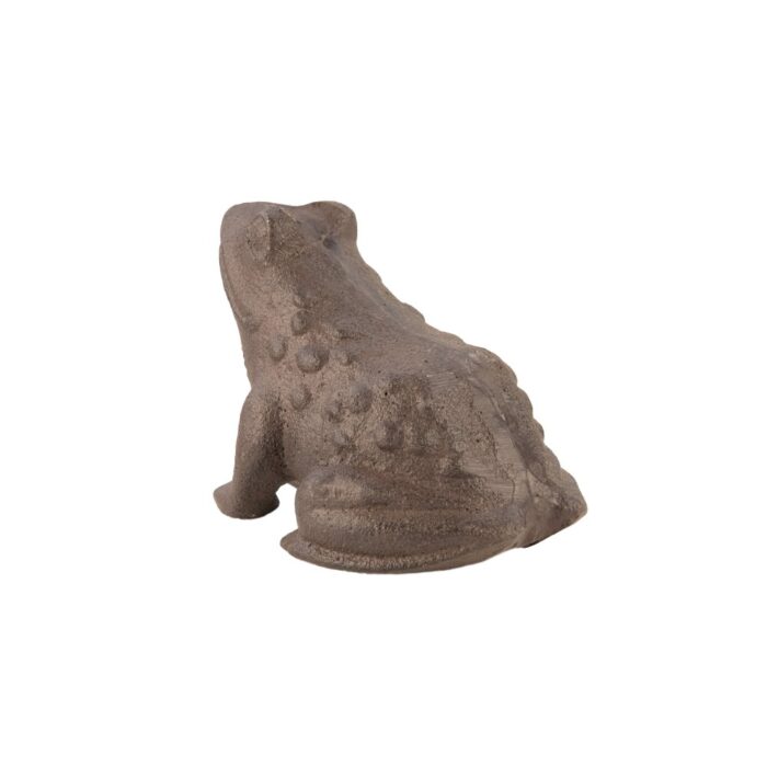 FROG - Image 4
