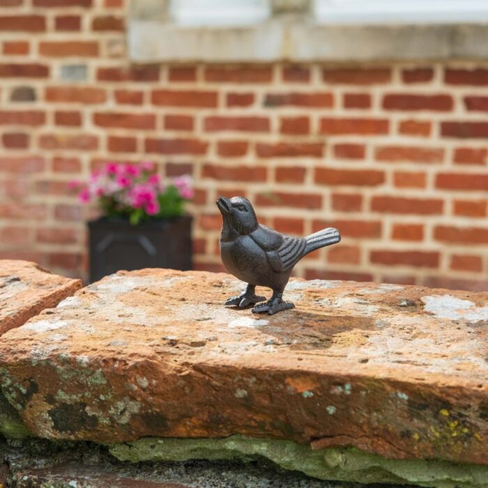 SPARROW - Image 2