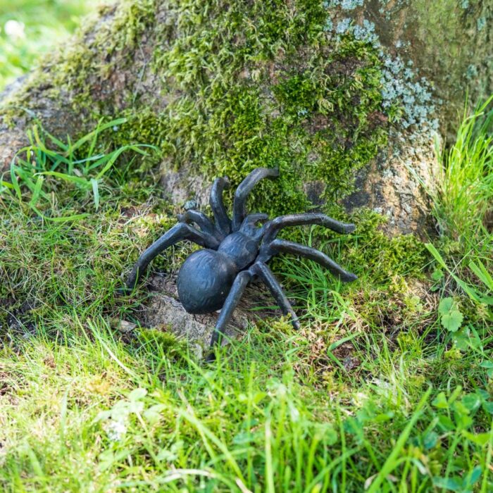 SPIDER - Image 2