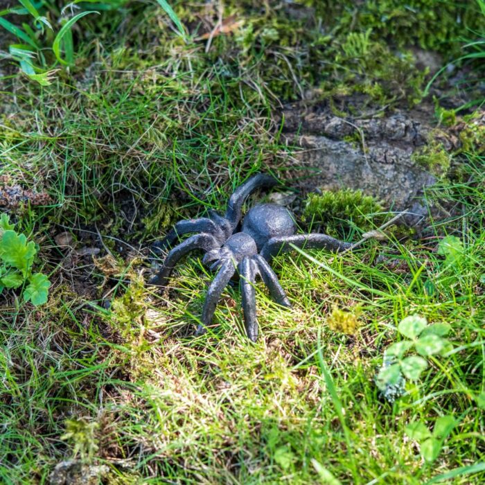 SPIDER - Image 3