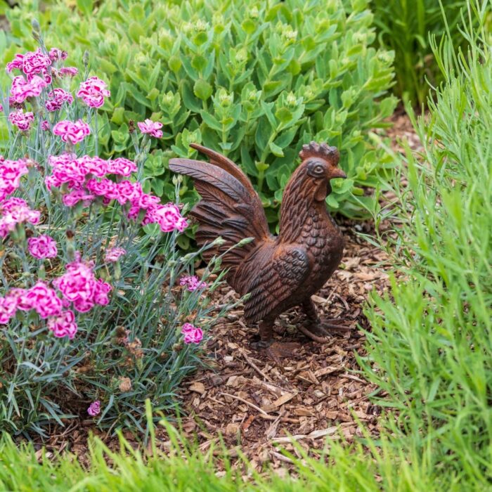 IRON COCKEREL - Image 4