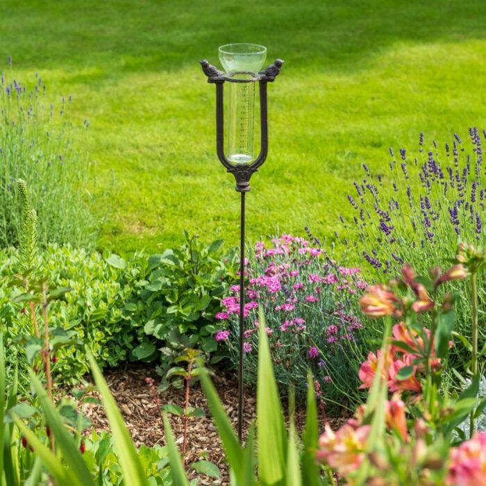 RAIN GAUGE - Image 3