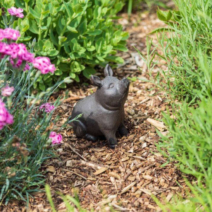 PIG SITTING - Image 2