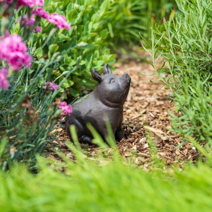 PIG SITTING - Image 3
