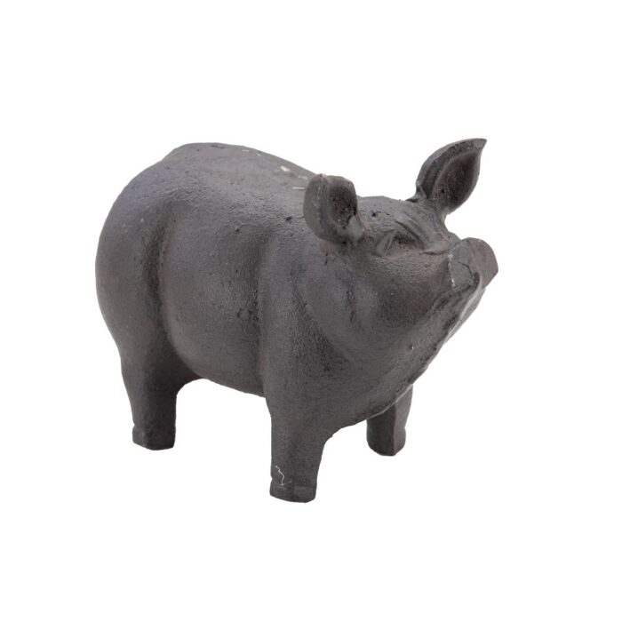 PIG STANDING