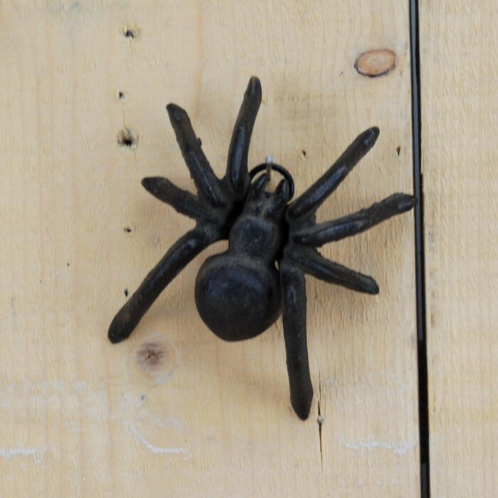 SPIDER (S) - Image 2