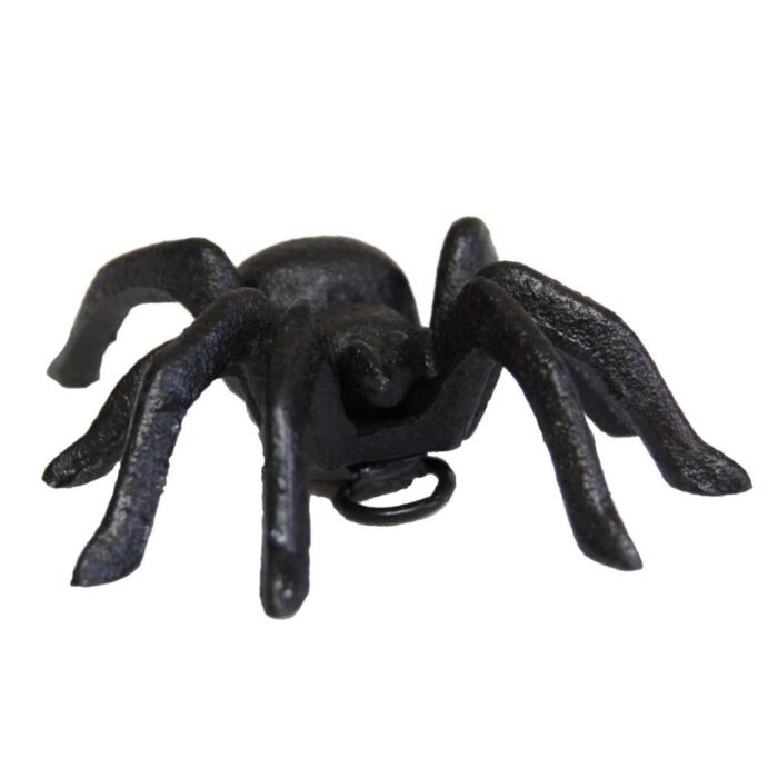 SPIDER (S)