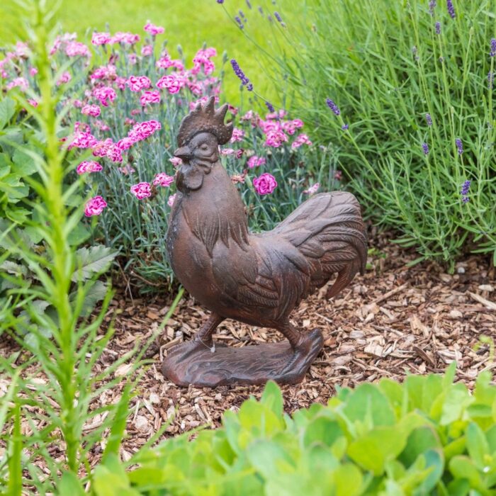 BIG IRON COCKEREL - Image 2