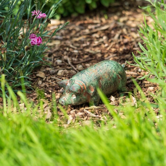 MINI PIG G - Image 4