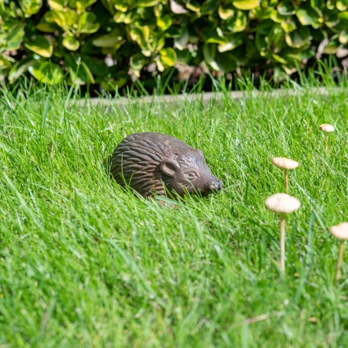 HEDGEHOG - Image 3