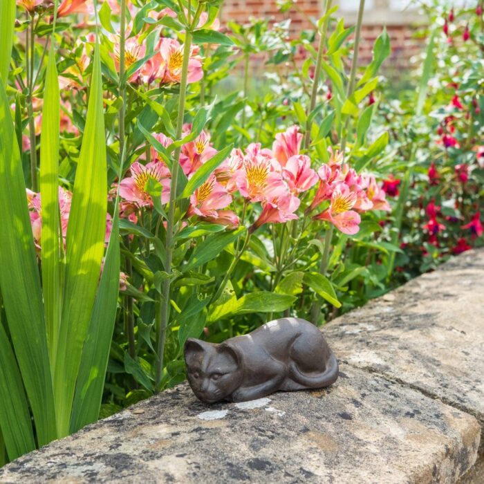 CAT (16cm) - Image 4