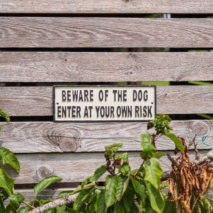 SIGN - BEWARE OF THE DOG - Image 3