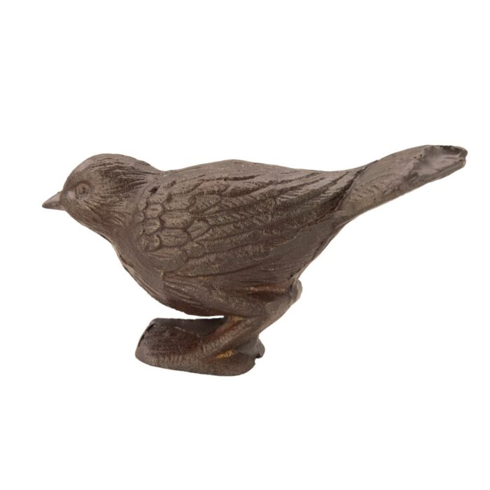 STARLING - Image 2