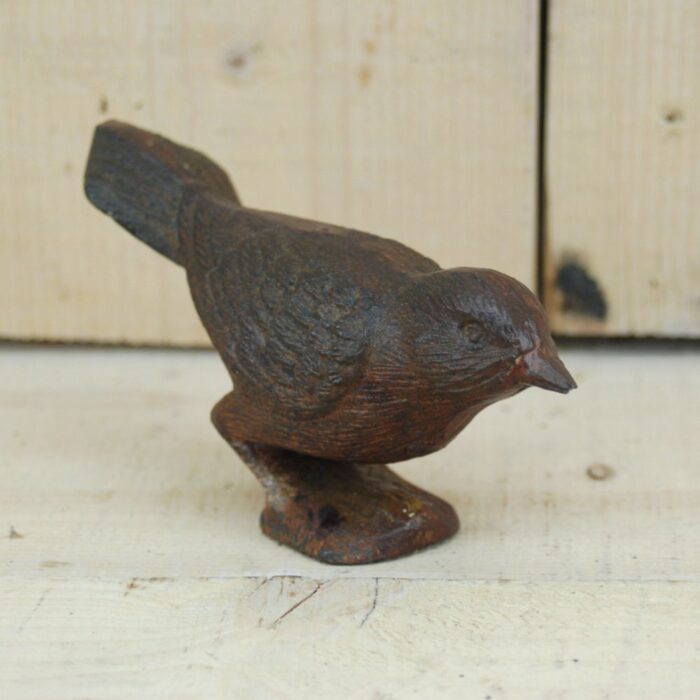 STARLING - Image 3