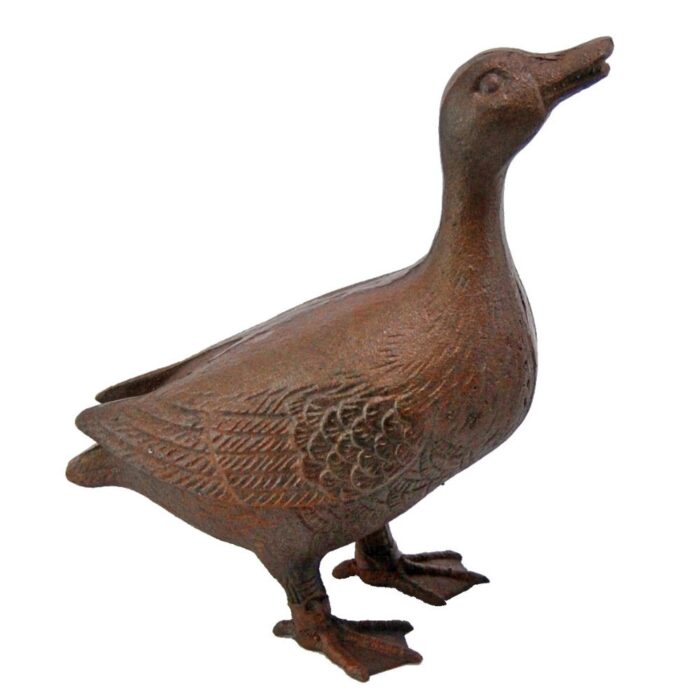 DUCK