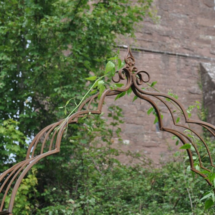 VINTAGE ARCH - Image 3