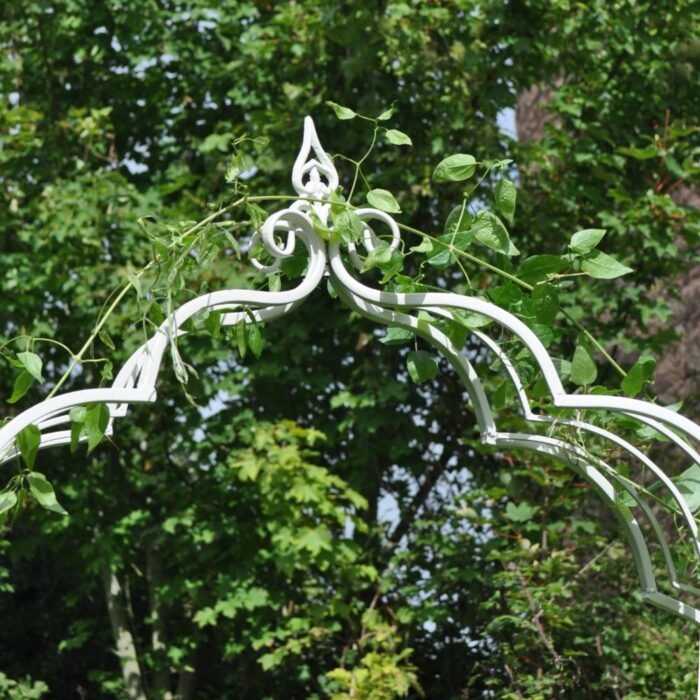 VINTAGE ARCH C - Image 3