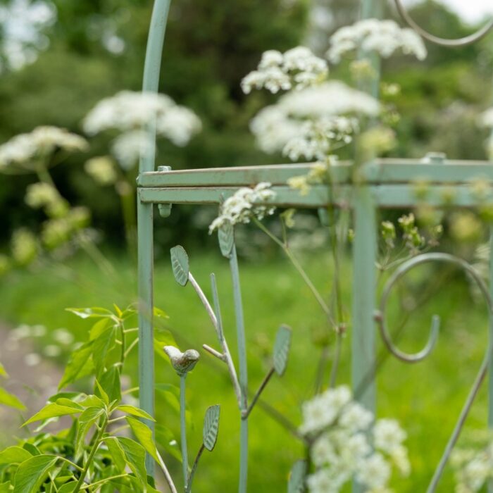 WOODLAND ARCH (G) - Image 2