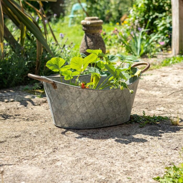 OVAL PLANTER w/HANDLES - Image 2