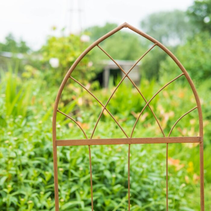 GOTHIC PLANT SUPPORT  (1.6m) - Image 3