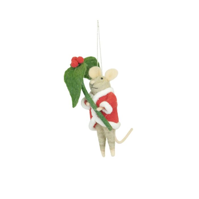 ROBIN ON SKI'S ORNAMENT