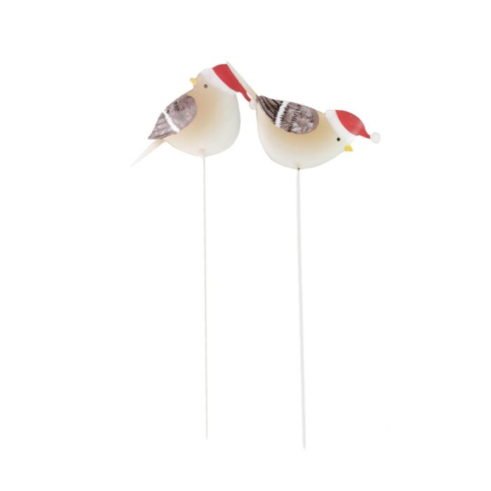 ASS. IRON BIRD PICK