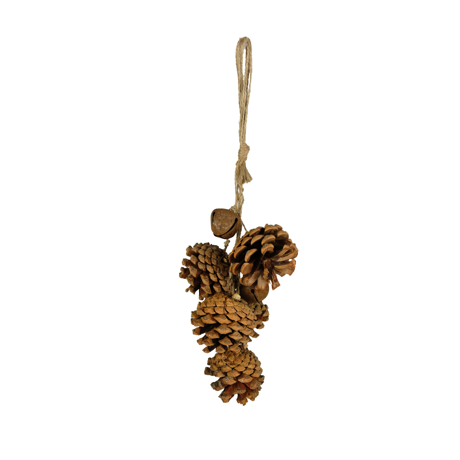 HANG. NATURAL PINECONE CLUSTER 35cm - Image 4