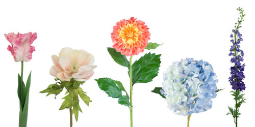 Flowers in Pots