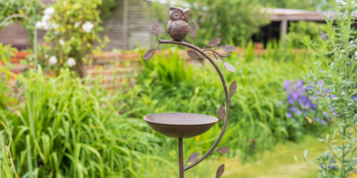 For the Birds
