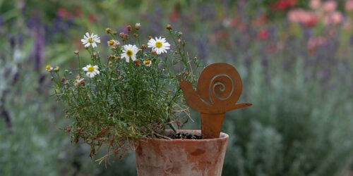 Garden Gifts