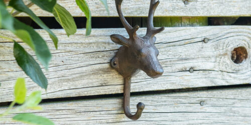 Hooks and Home etc