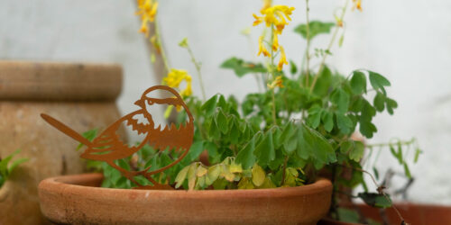 Houseplant and Pot Decor