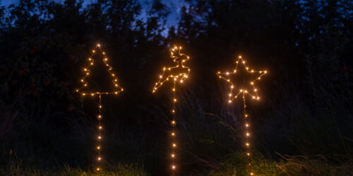 Lighting