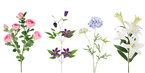 Multi-Stem